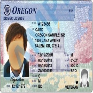 Buy Real and Fake Oregon Driver’s Licenses Online