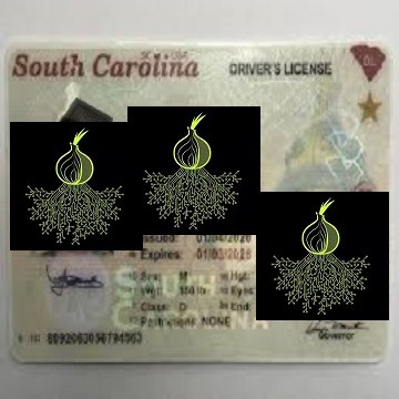 Buy Real and Fake New South Driver’s Licenses