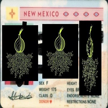 Buy real and fake New Mexico driver’s licenses