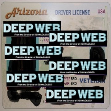 Buy real and fake Nevada driver’s licenses