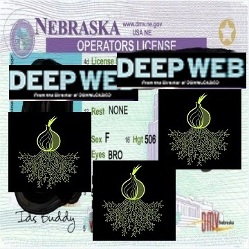 Buy real and fake Nebraska driver’s licenses