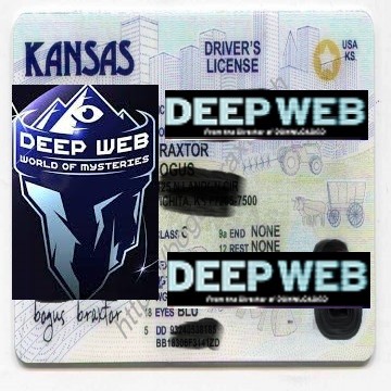 Buy real and fake Kansas driver’s licenses