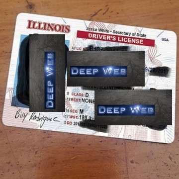 Buy real and fake Illinois driver’s licenses