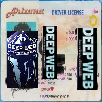 Buy real and fake Arizona driver’s licenses