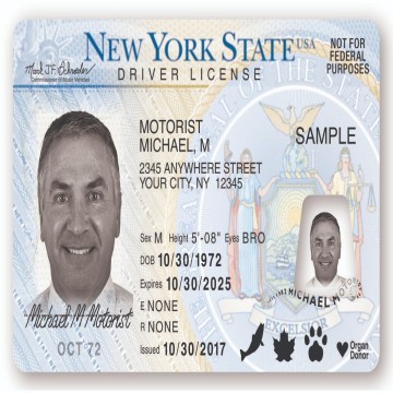 Buy Real and Fake New York Driver’s