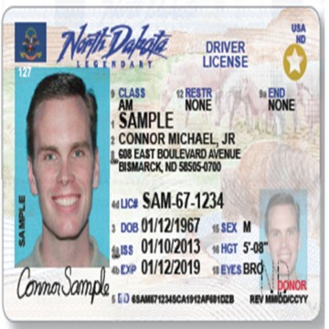 Real and Fake North Dakota Driver’s Licenses for Sale