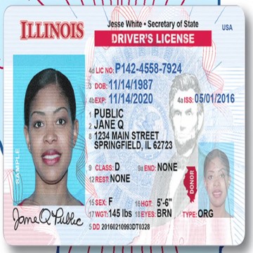 Buy real and fake Illinois driver’s licenses