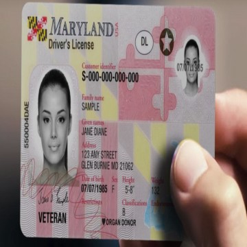 Buy real and fake Maryland driver’s licenses