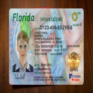Florida Driver’s Licenses for Sale