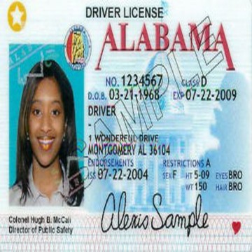 Buy real and fake Alabama driver’s licenses